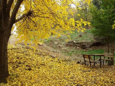آشنایی با پارک ملی سرخه حصار تهران