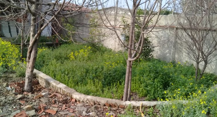 خانه ویلایی در گلوگاه