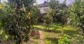 ویلا به همراه باغ در شهر کلاچای گیلان