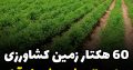 ۶۰هکتار زمین کشاورزی پاکدشت