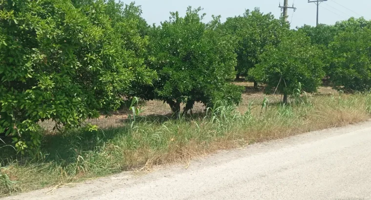 فروش دو پلاک زمین بافت و خارج بافت عالی