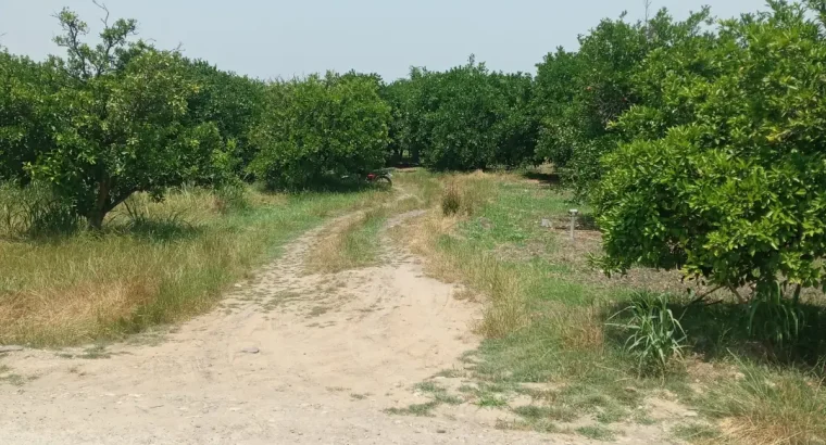 فروش دو پلاک زمین بافت و خارج بافت عالی