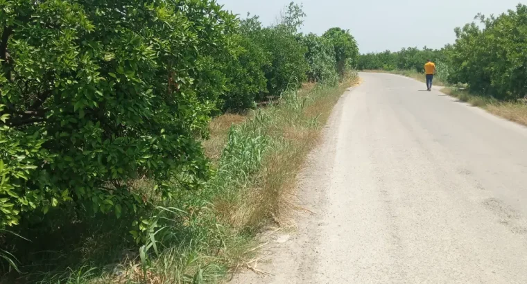 فروش دو پلاک زمین بافت و خارج بافت عالی