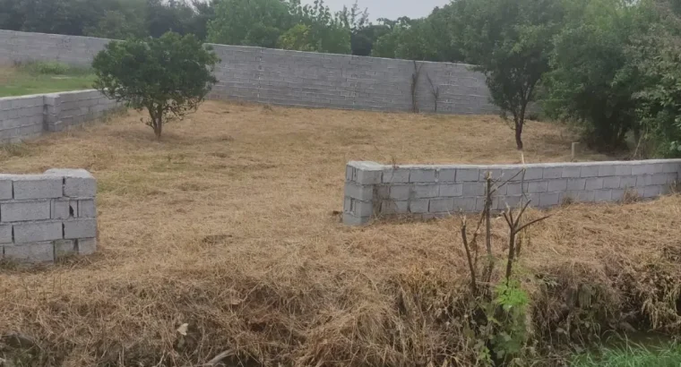 فروش دو پلاک زمین بافت و خارج بافت عالی