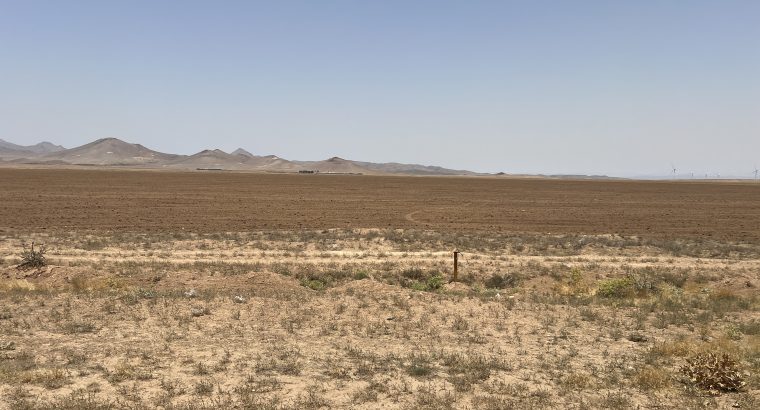 زمین ۵۰۰ متری در تاکستان جهت سرمایه گذاری