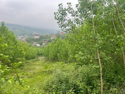 فروش زمین ۲۵۰ متری با قیمتی فوق العاده