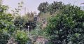 فروش خانه باغ ویلایی در شمال