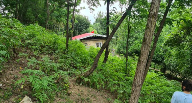 فروش باغ مشجر در گیلان