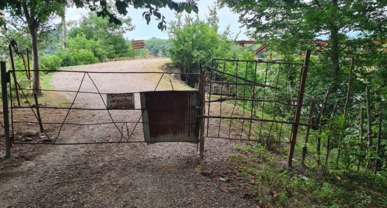 فروش باغ مشجر در گیلان