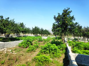 فروش زمین شمال، ده دقیقه تا دریا