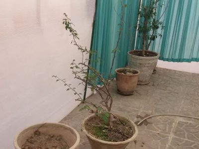 آپارتمان ۸۲ متری دو خوابه