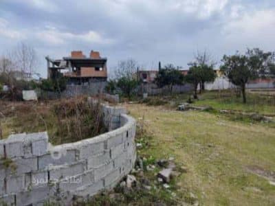 فروش زمین کشاورزی