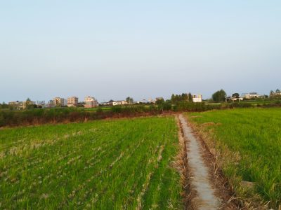 فروش زمین کشاورزی ۵۰۰متری ساحلی محمودآباد