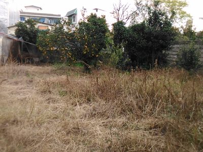 زمین مسکونی تجاری ۲۱۶ متری خ تهران قائمشهر