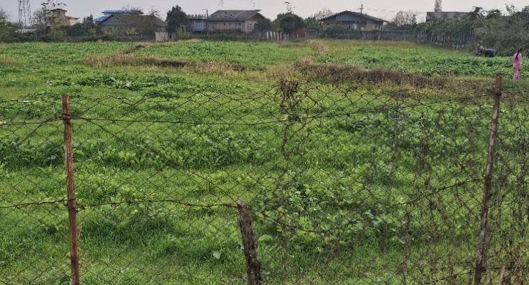 فروش زمین ۵۵۰۰ متری در هشتپر